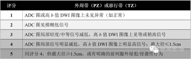 前列腺影像结构式报告