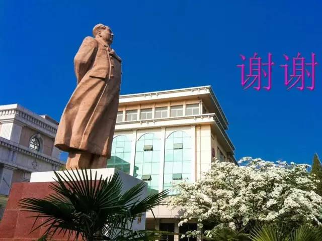 【PPT】非小细胞肺癌 EGFR 基因突变的影像学诊断文献复习