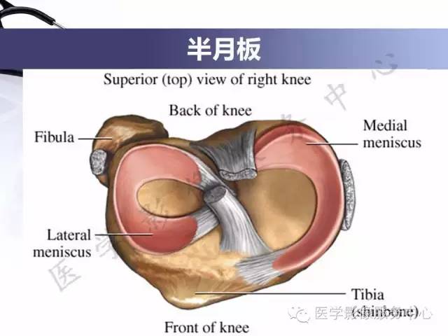 【PPT】半月板病变的MRI诊断