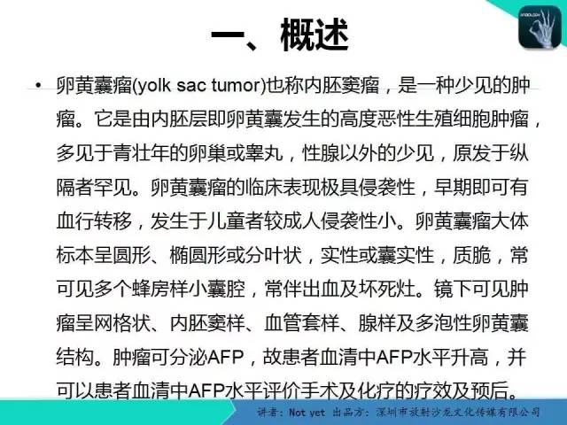 【病例】卵黄囊瘤一例CT影像表现