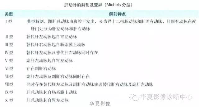 肝动脉解剖及变异