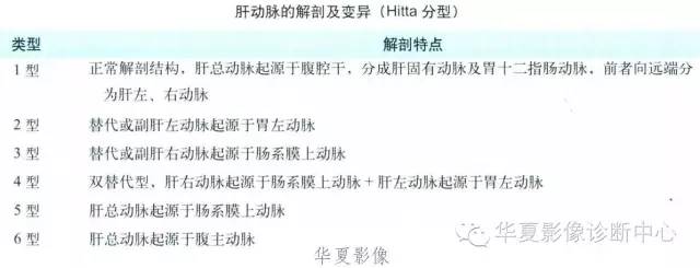 肝动脉解剖及变异