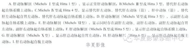 肝动脉解剖及变异