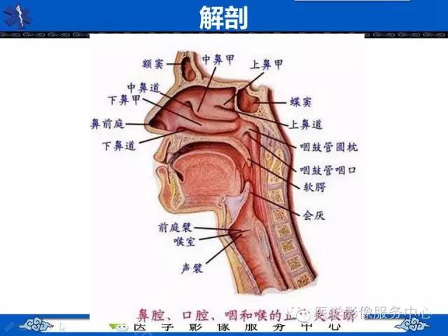 【影像征象】拇指征