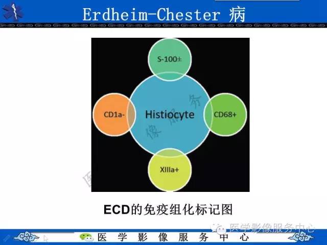 【PPT】胸部组织细胞病变的影像学表现