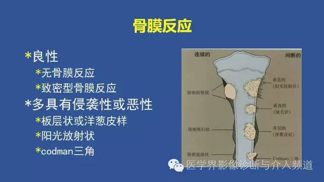 【PPT】识骨寻踪