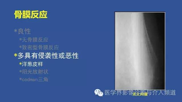 【PPT】识骨寻踪