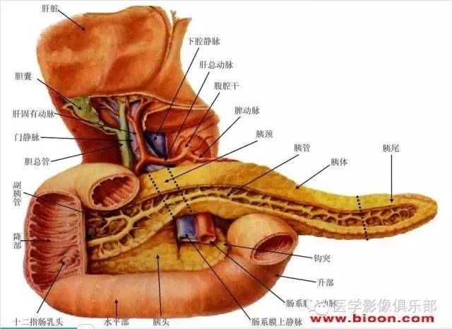 【PPT】急性胰腺炎CT评价