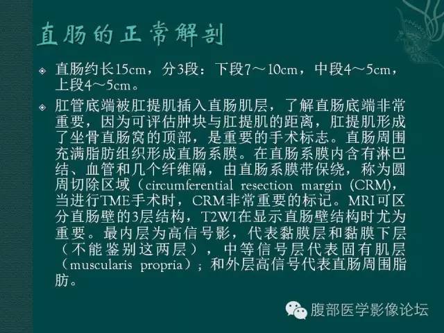 【PPT】直肠癌MRI分期
