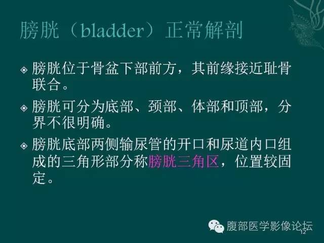 【PPT】盆腔病变的CT诊断