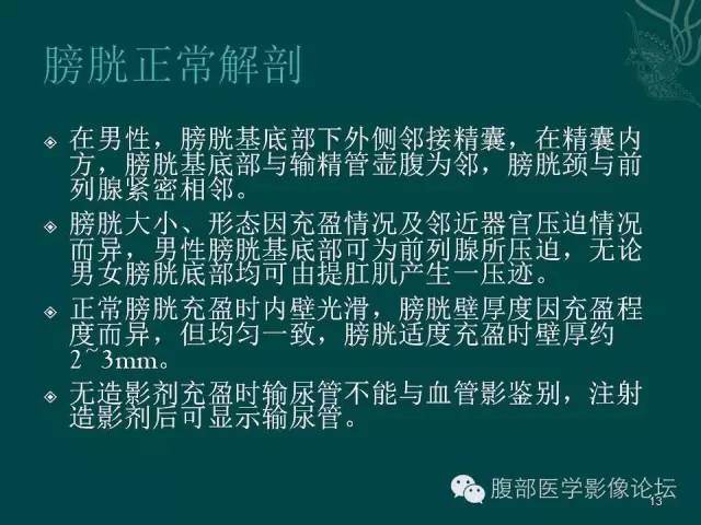 【PPT】盆腔病变的CT诊断