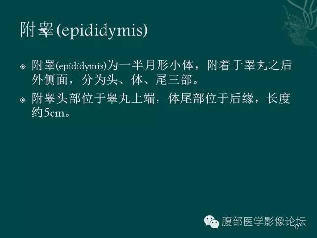 【PPT】盆腔病变的CT诊断
