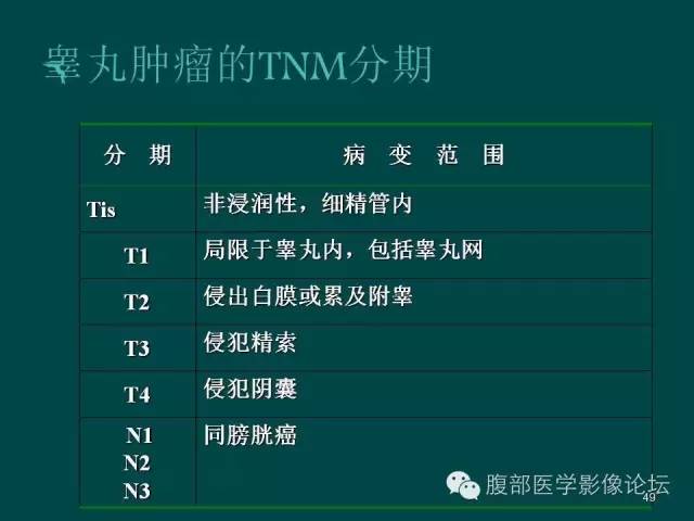【PPT】盆腔病变的CT诊断
