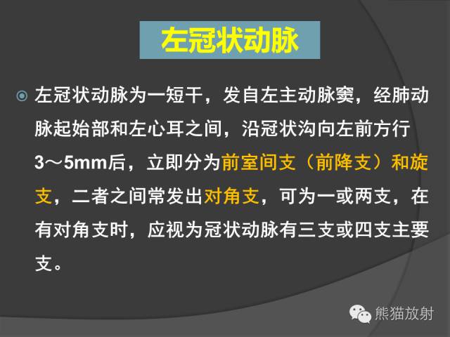 【PPT】冠状动脉解剖 【PPT】冠状动脉解剖