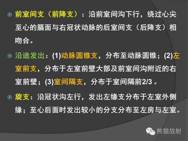 【PPT】冠状动脉解剖 【PPT】冠状动脉解剖