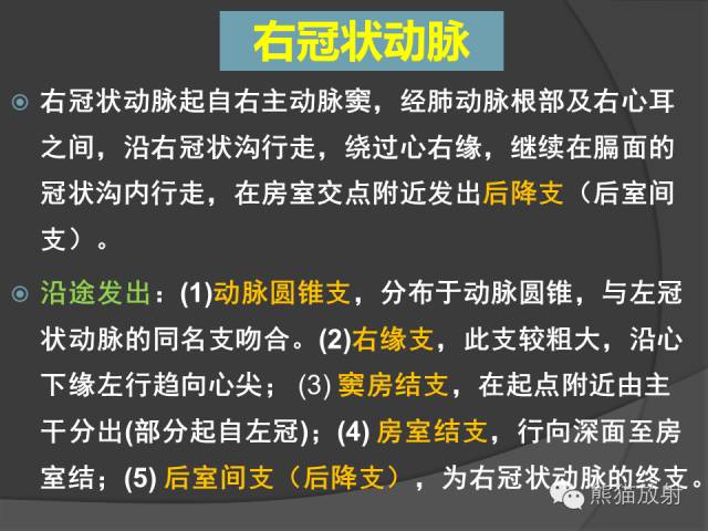 【PPT】冠状动脉解剖 【PPT】冠状动脉解剖
