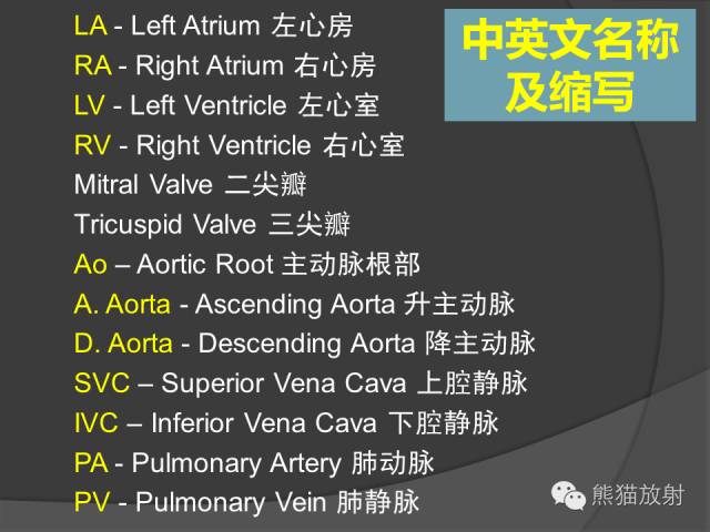 【PPT】冠状动脉解剖 【PPT】冠状动脉解剖