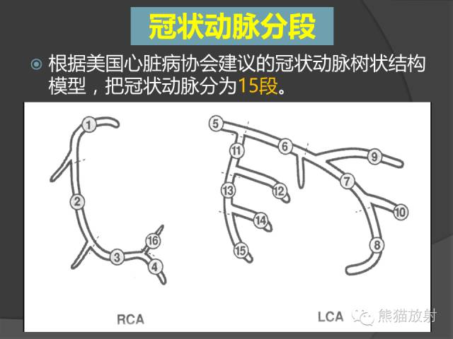 【PPT】冠状动脉解剖 【PPT】冠状动脉解剖
