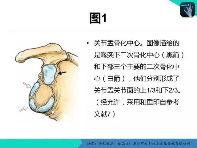 【PPT】儿童肩关节正常骨骼发育和影像诊断陷阱