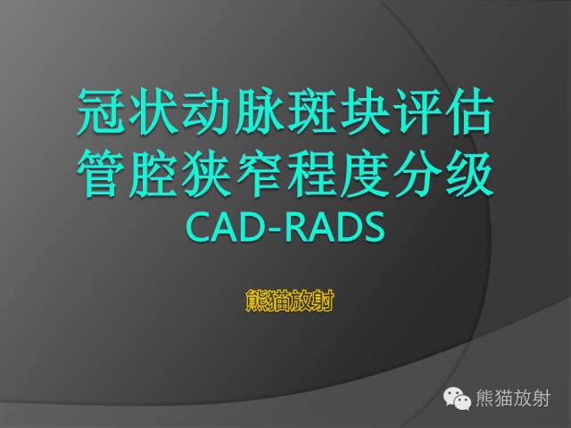 【PPT】冠状动脉斑块评估、管腔狭窄程度分级