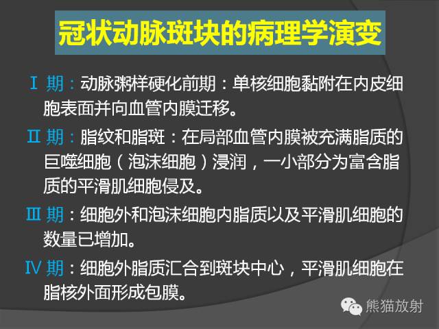 【PPT】冠状动脉斑块评估、管腔狭窄程度分级