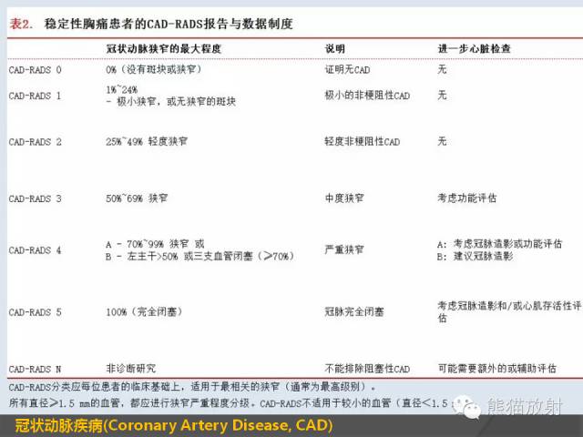【PPT】冠状动脉斑块评估、管腔狭窄程度分级