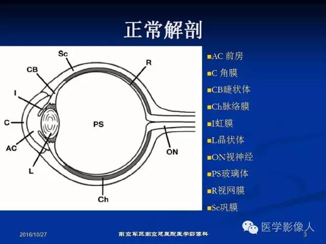 【PPT】眼外伤影像学表现【RG精选】