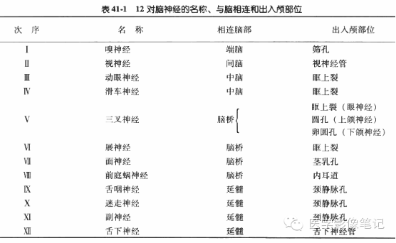 12对脑神经记忆口诀及影像解剖 12对脑神经记忆口诀及影像解剖