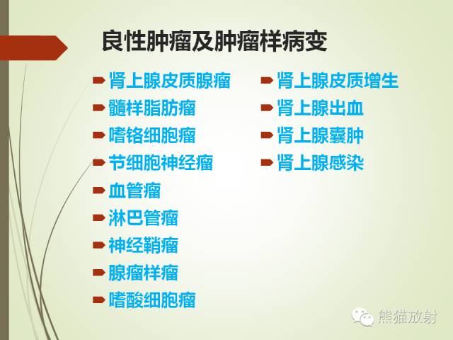 【PPT】成人肾上腺肿瘤及肿瘤样病变影像与病理相关性