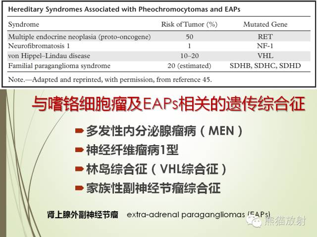 【PPT】成人肾上腺肿瘤及肿瘤样病变影像与病理相关性