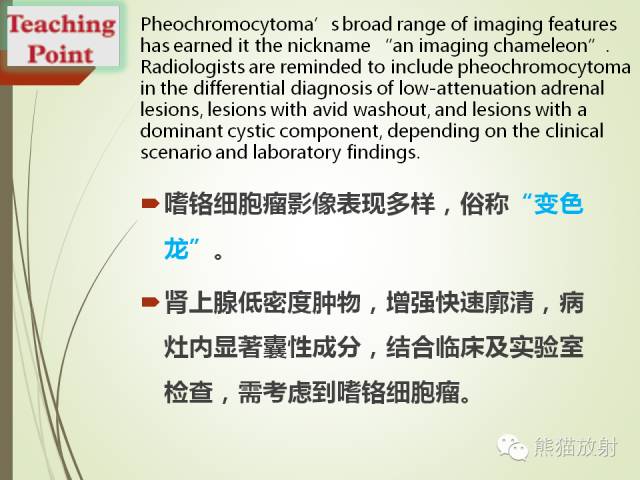 【PPT】成人肾上腺肿瘤及肿瘤样病变影像与病理相关性