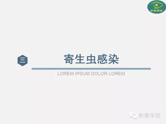 【PPT】肝脏感染性病变影像学鉴别诊断及潜在陷阱