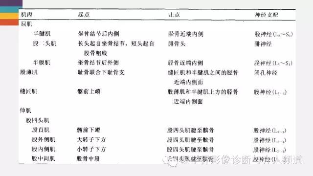 【PPT】膝关节周围肌腱解剖及MR表现