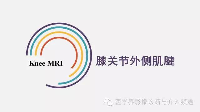 【PPT】膝关节周围肌腱解剖及MR表现
