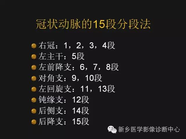 【PPT】冠状动脉造影解剖