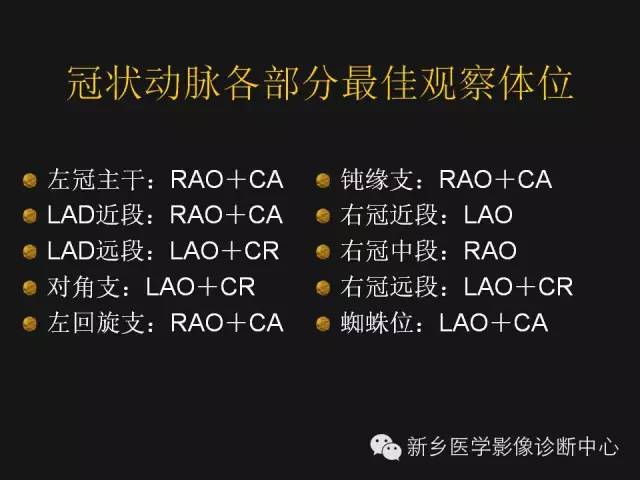 【PPT】冠状动脉造影解剖