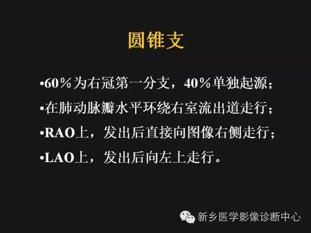 【PPT】冠状动脉造影解剖