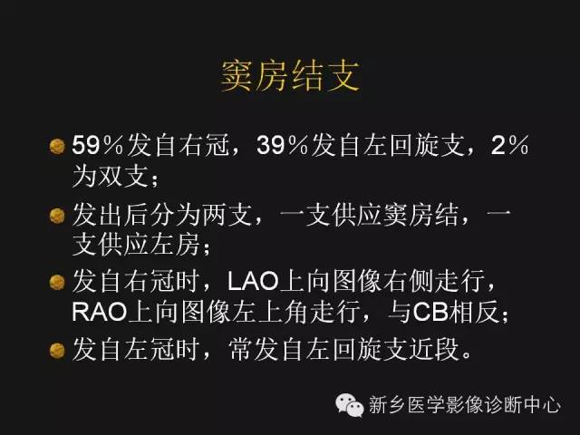 【PPT】冠状动脉造影解剖