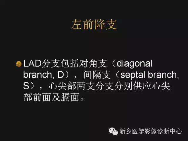 【PPT】冠状动脉造影解剖