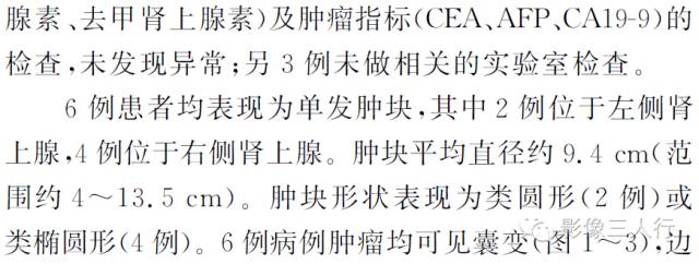 肾上腺