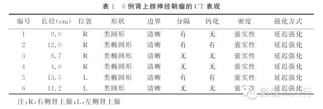 肾上腺