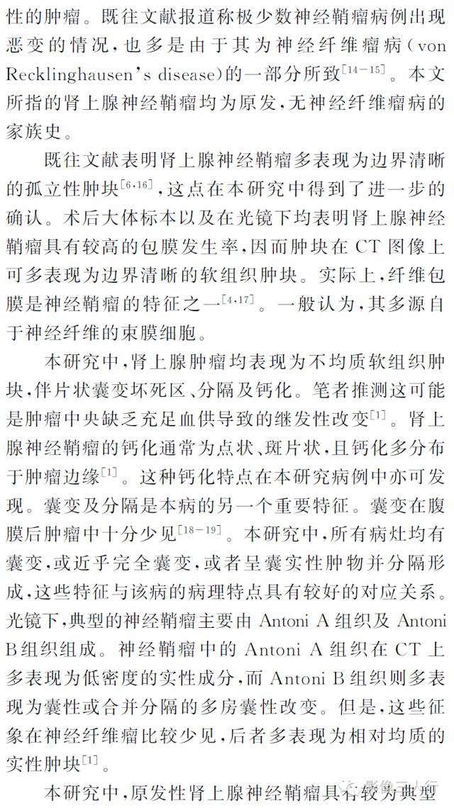 肾上腺
