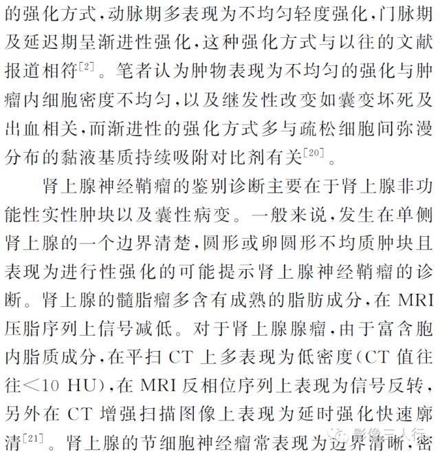 肾上腺