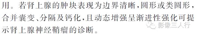 肾上腺