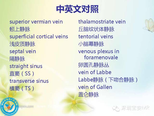 【PPT】颅内静脉系统影像CT,MRI及DSA解剖