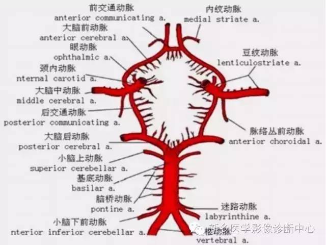 基底动脉综合征