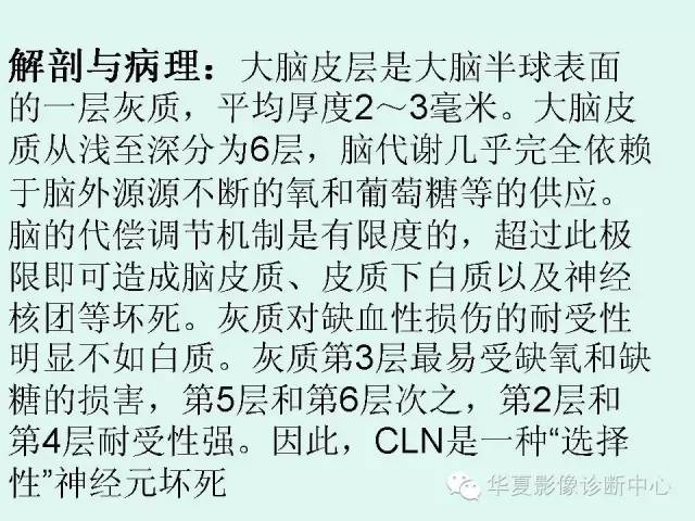 【PPT】脑皮质层状坏死的影像表现