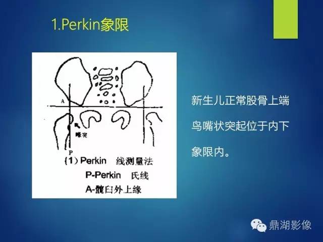 【PPT】骨盆的X线解剖