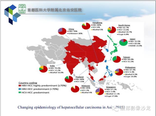 【PPT】HBV相关肝细胞癌演变MRI分级诊断