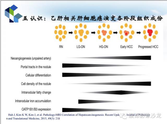 【PPT】HBV相关肝细胞癌演变MRI分级诊断